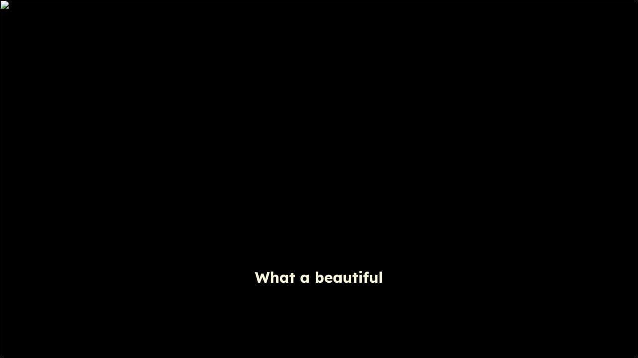 Black Rose Sunset Dance