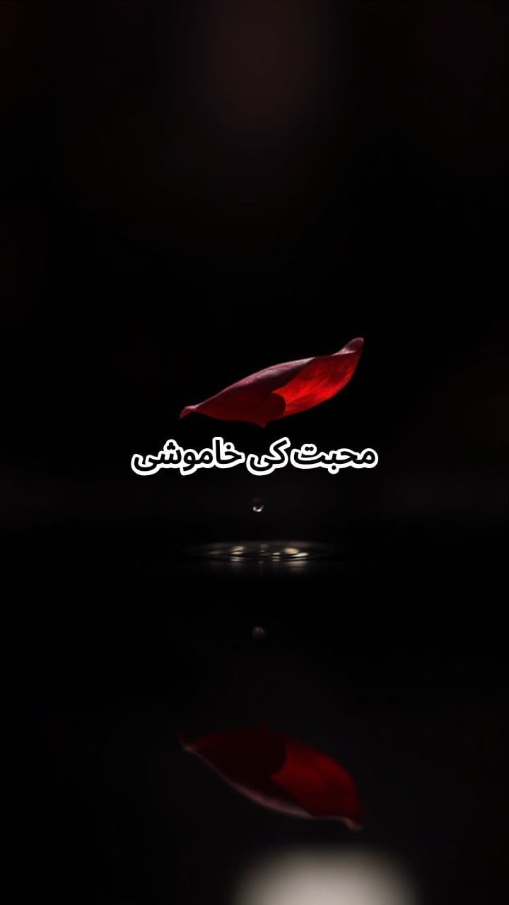 محبت کی خاموشی