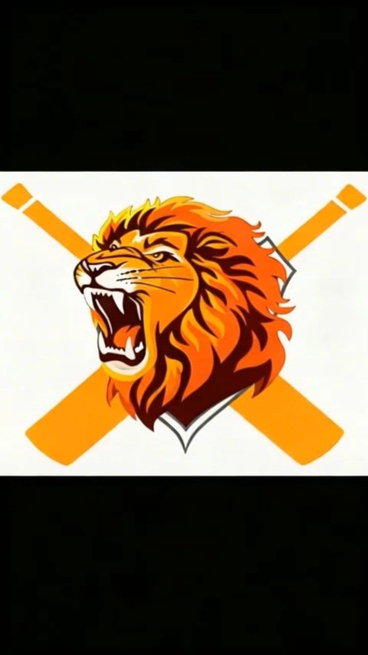 Image transform video