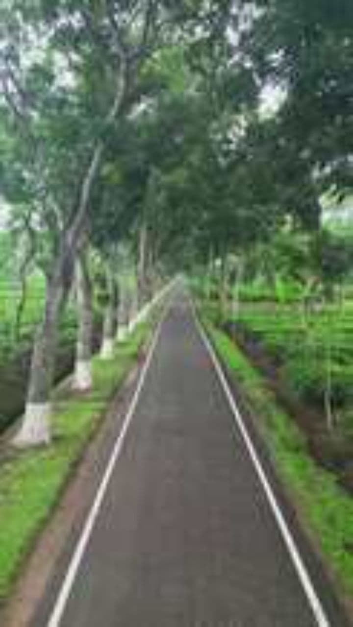 Путь самурая