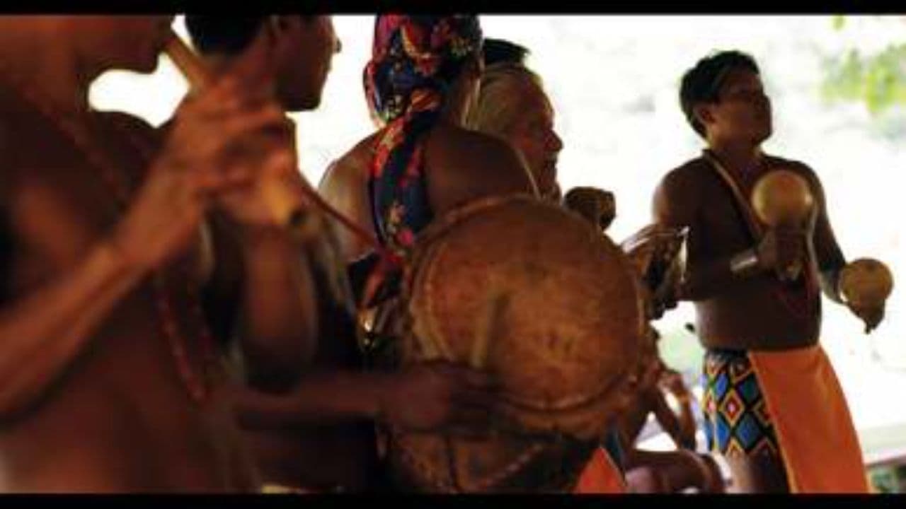 Cycles of Civilization: Rise and Fall