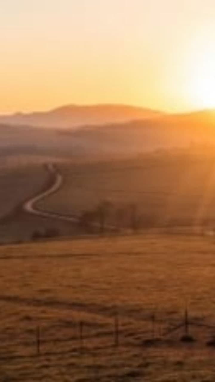 Festa na Fazenda com Comitiva do Agro