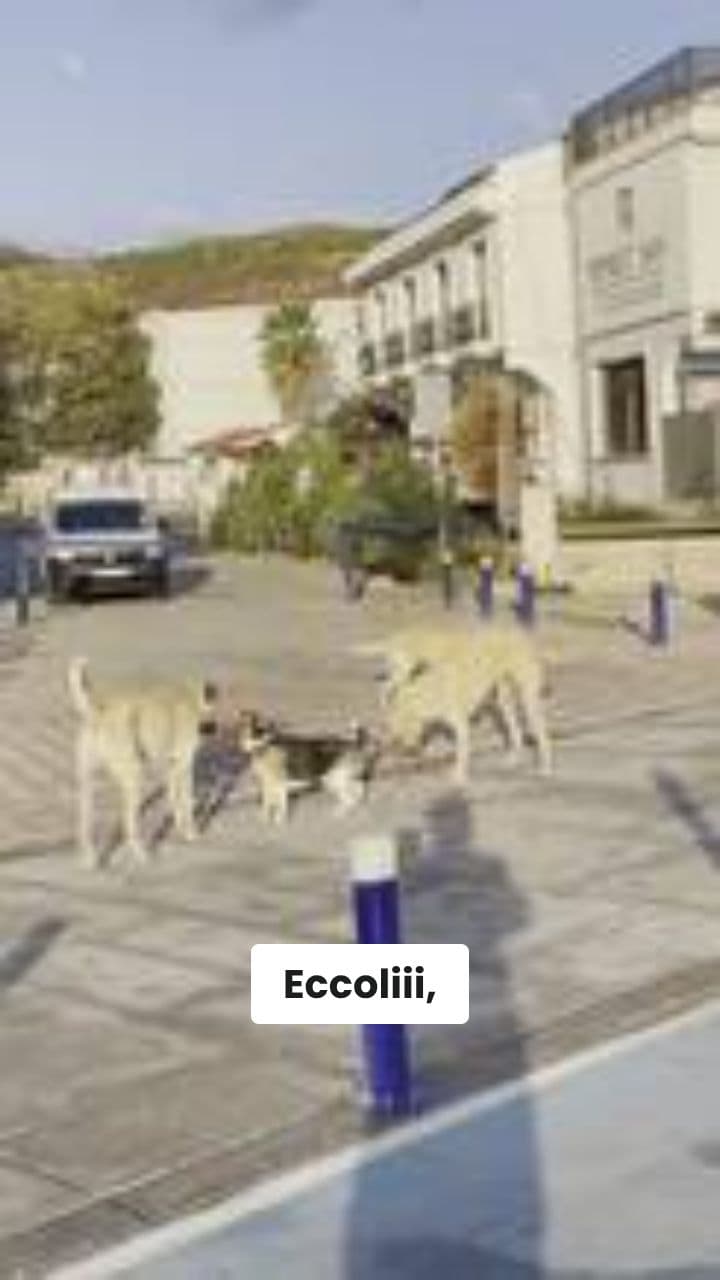 Funghi Folli: La Vendetta del Cannone!