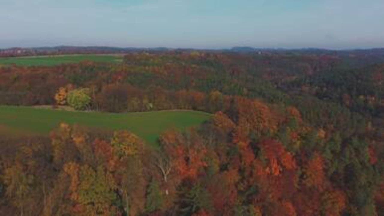 The Arrival of Native Americans and Columbus