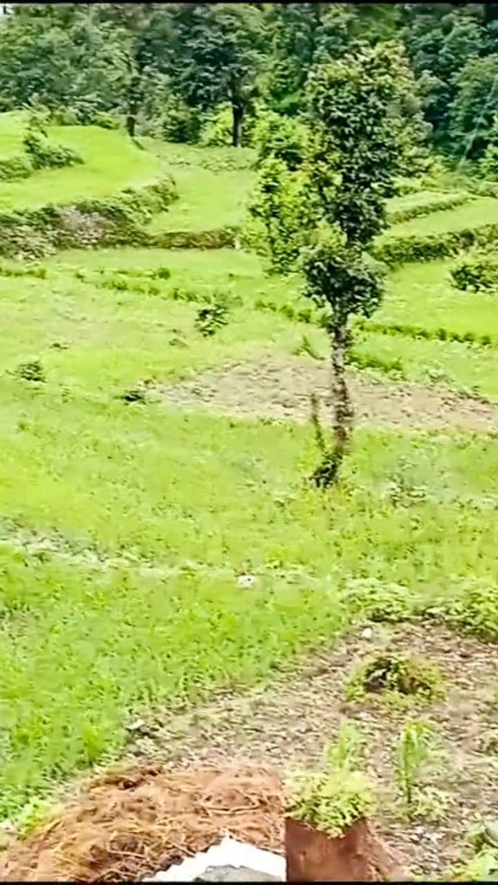 धरती हमारा गढ़वाल