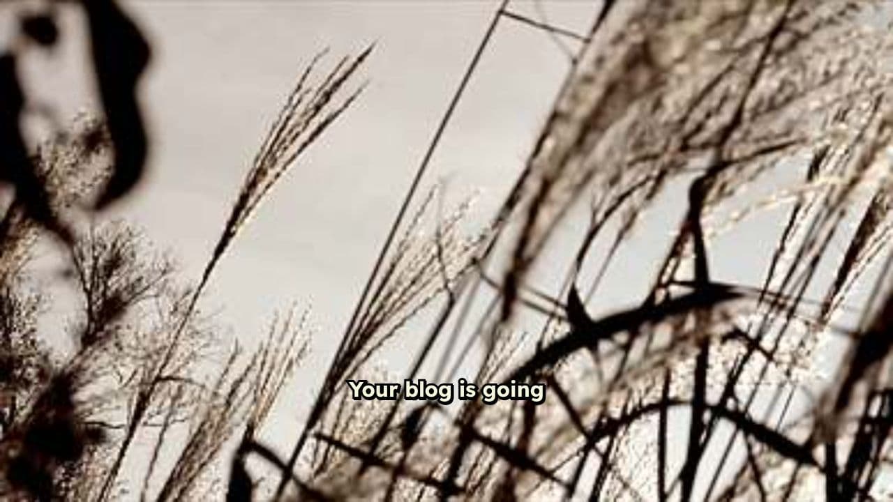 Choose the Right Blogging Platform