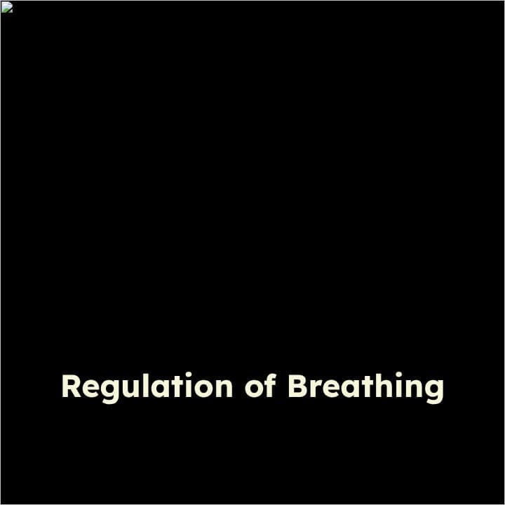 Neural Control of Breathing and Gas Transport