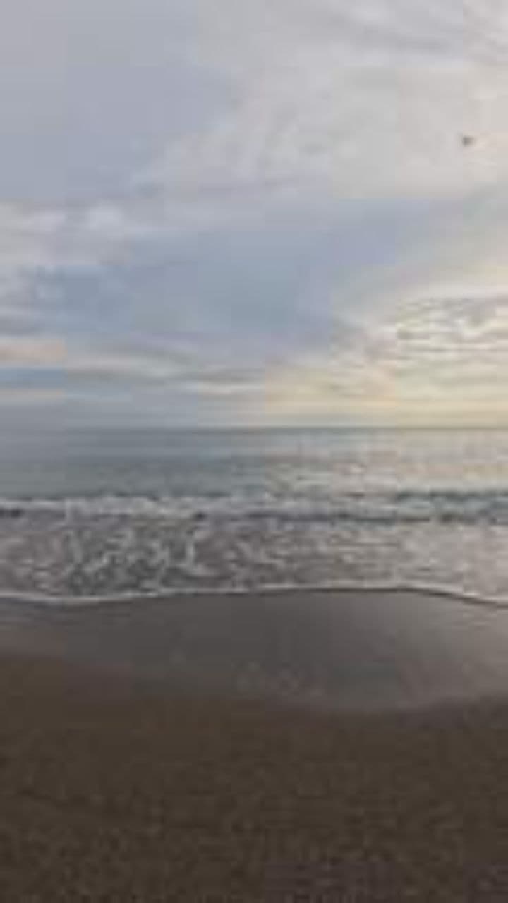 Je pense à toi chaque nuit