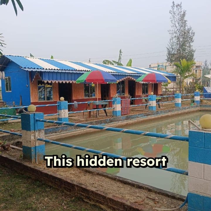 Striped Florida Resort with Feathered Royalty