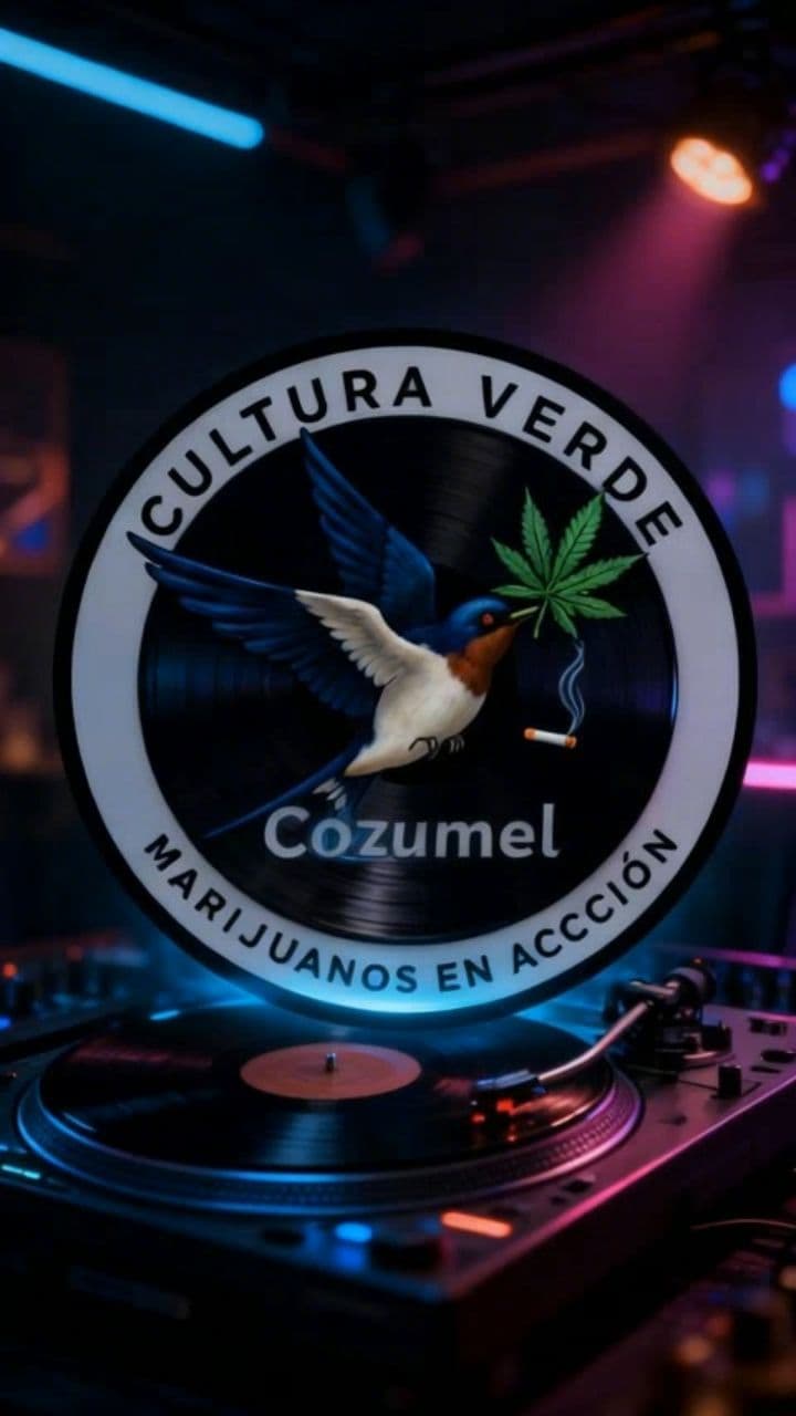 Image transform video