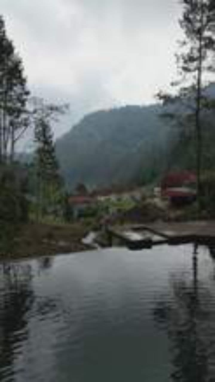 Renacer a través del perfume