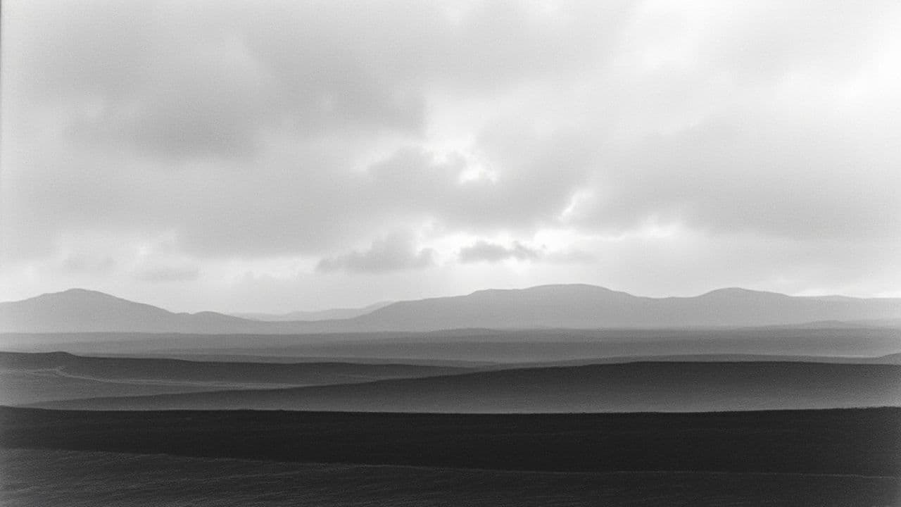 هل ترجعينا؟