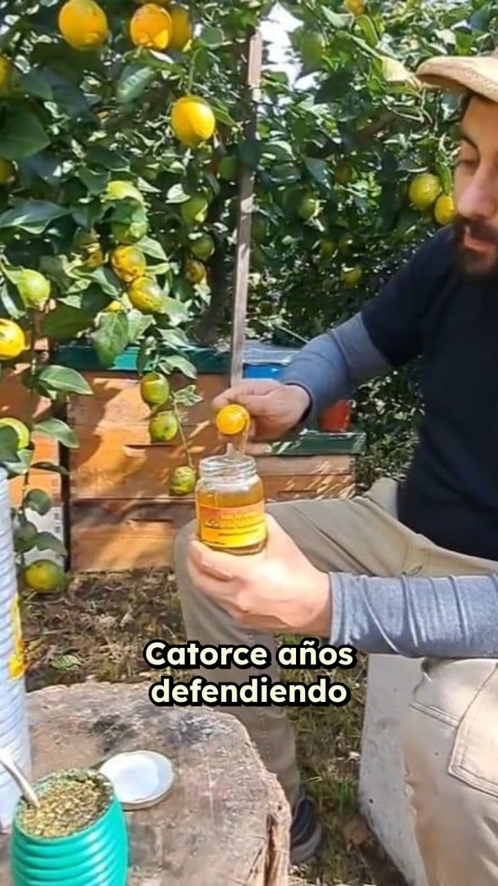 Feria Franca: Autenticidad y Creación en Vivo