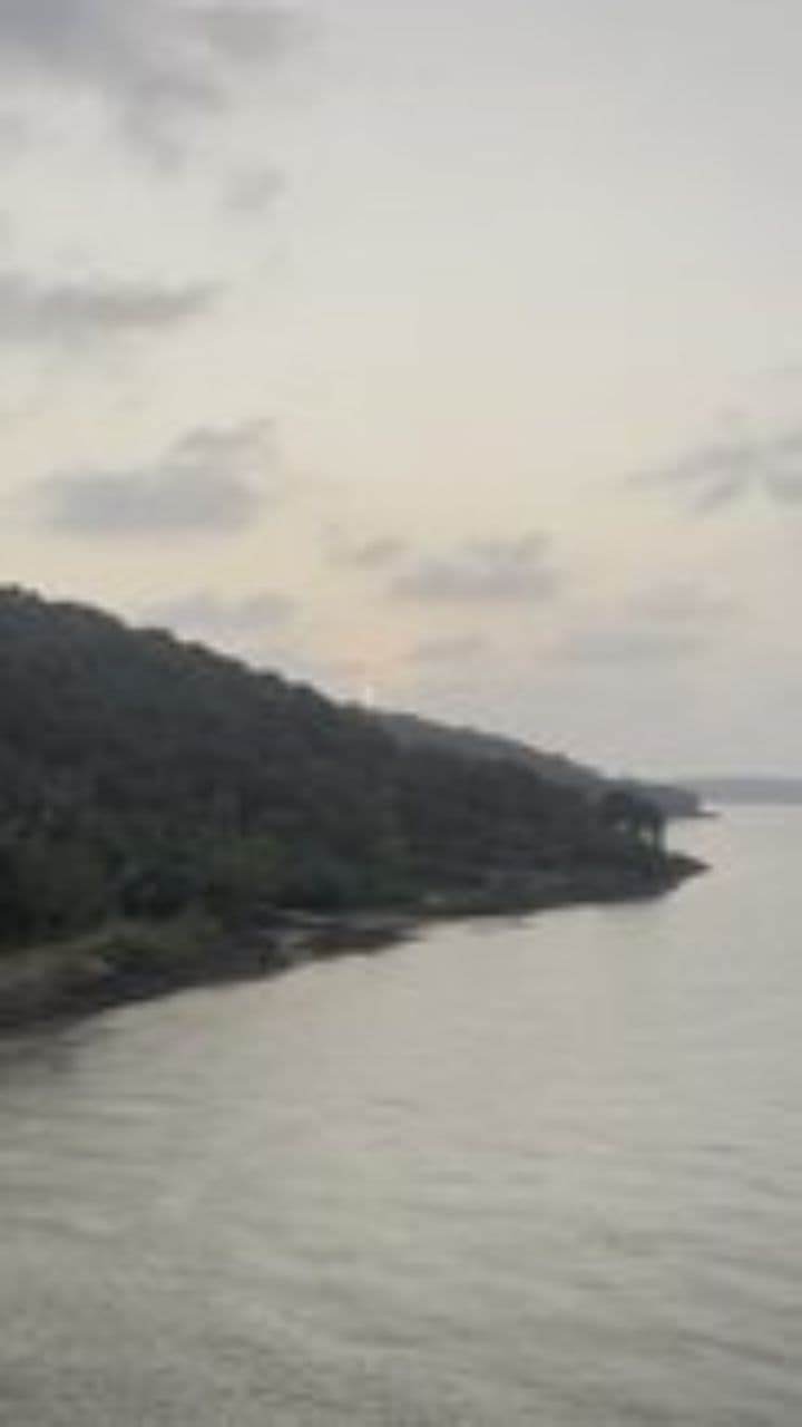 Eternal Love and Freedom