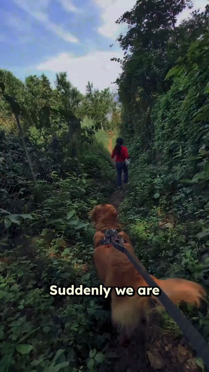 A Shift to a New Reality