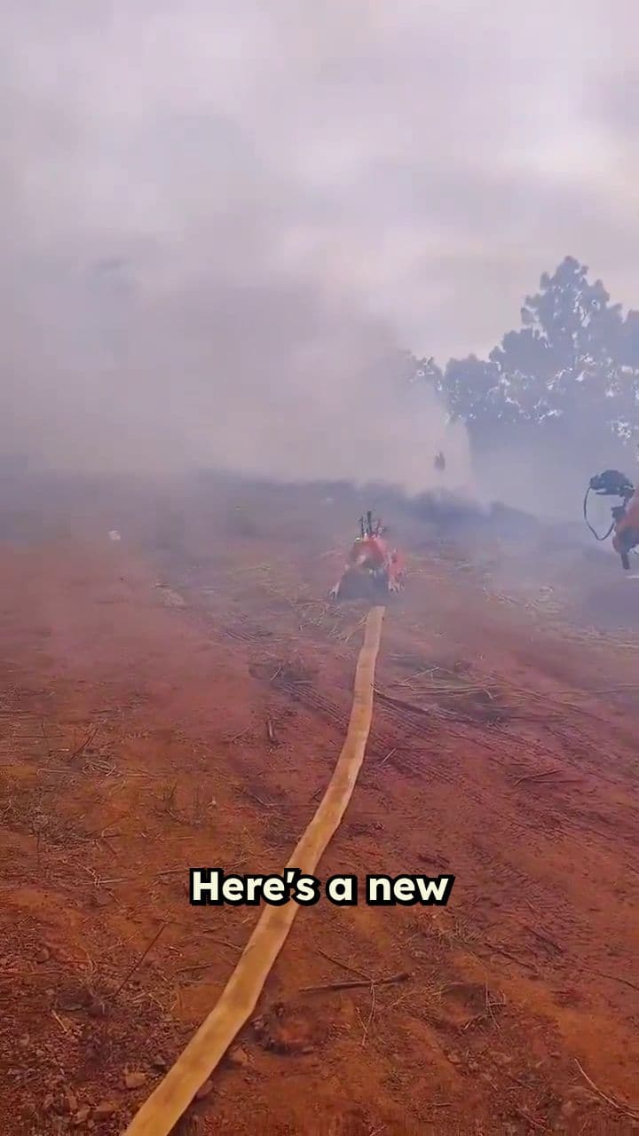 Robotic Dog Aids Firefighters