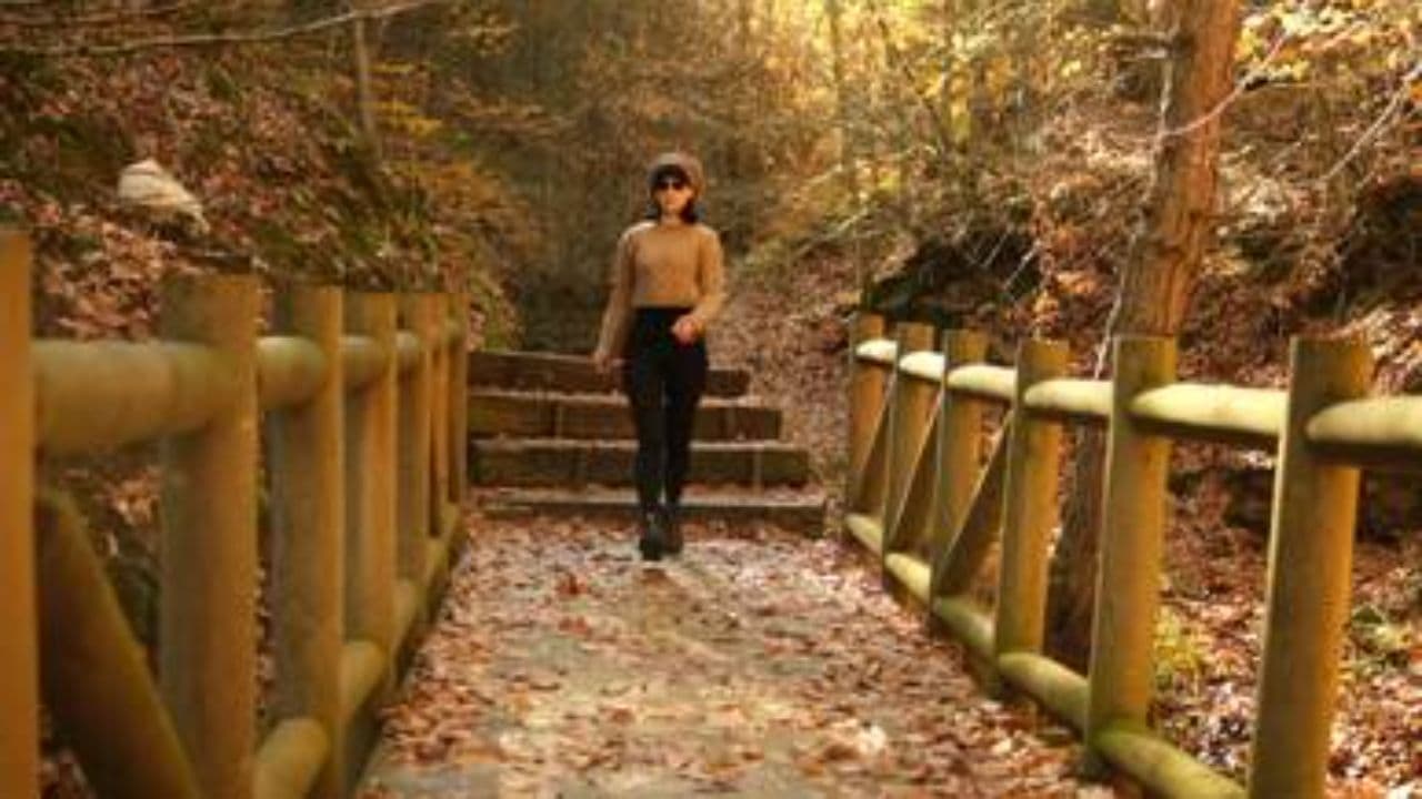 Lessons from the Field