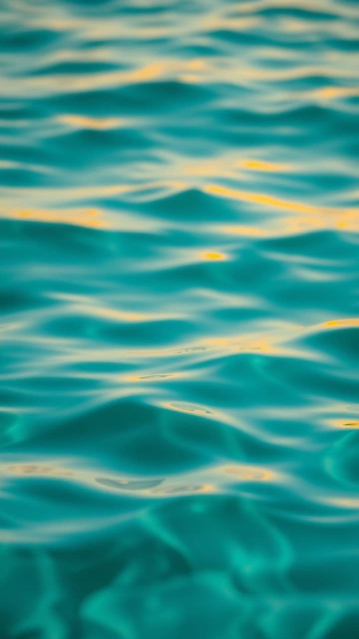 Hypnotic Afro House Journey