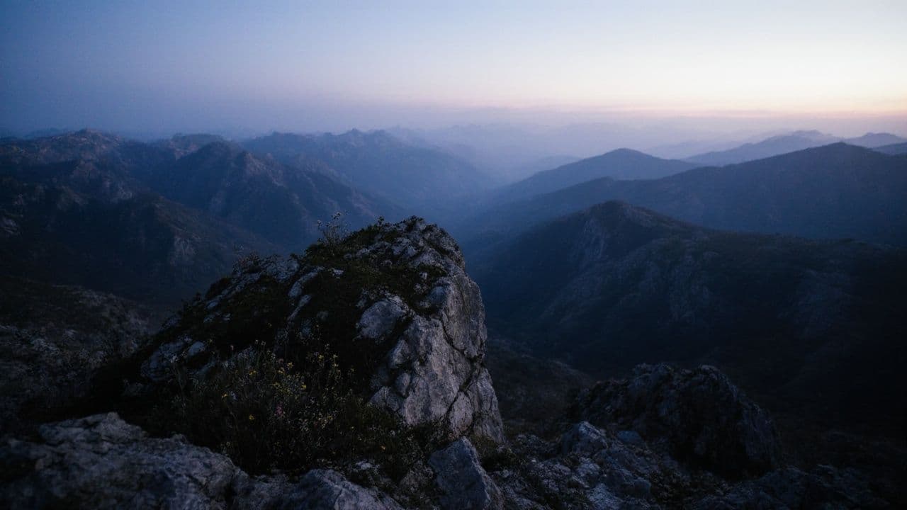 Vigasz minden nyomorúságban