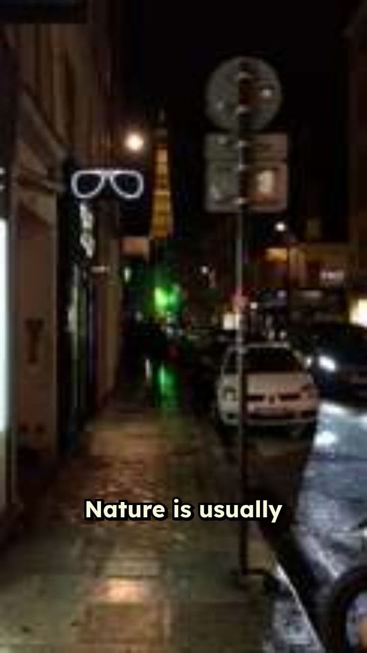 Tiger's Clumsy Midnight Slip