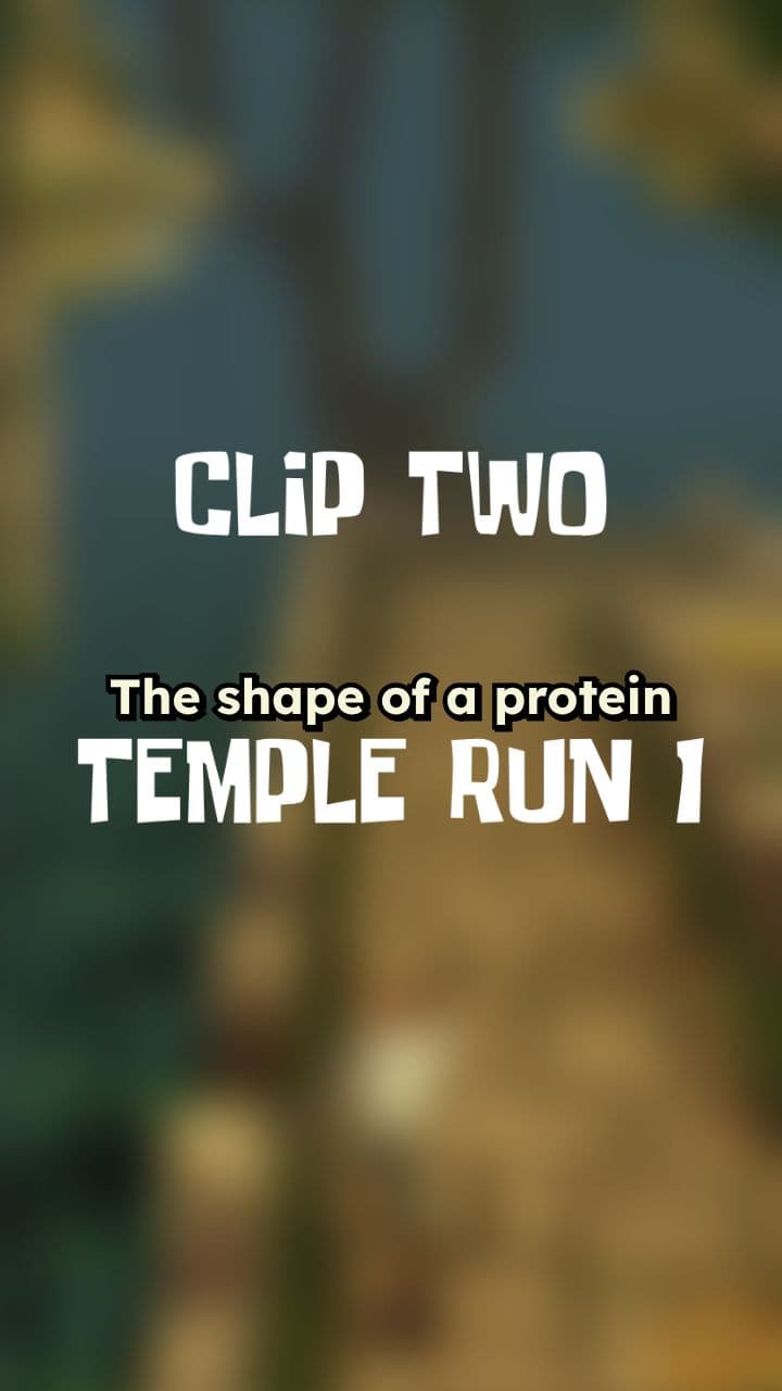 The Importance of Protein Shape