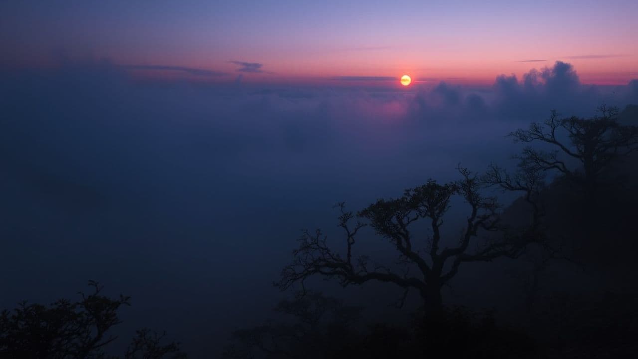 Echoes of Melancholy