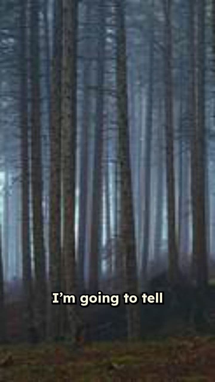 The Door That Shouldn't Be Knocked