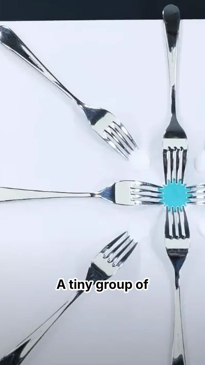 How the Ottomans Built an Empire