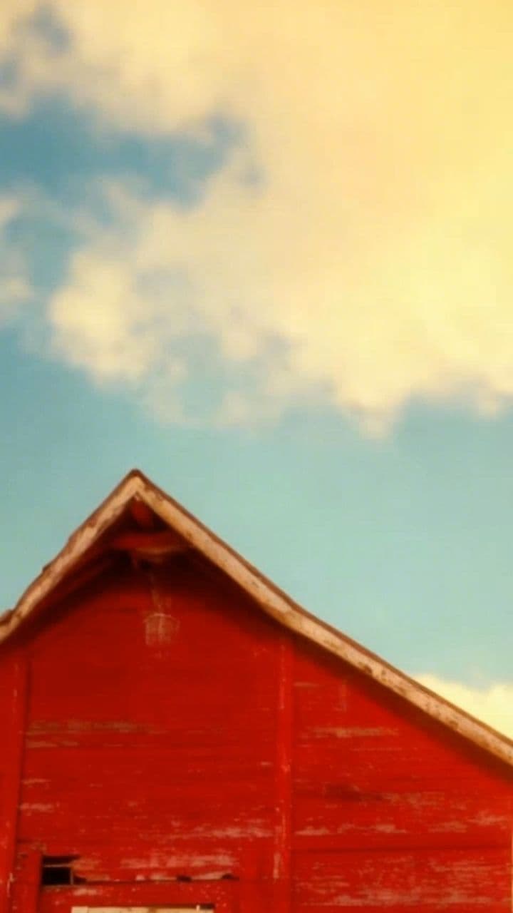 Image transform video