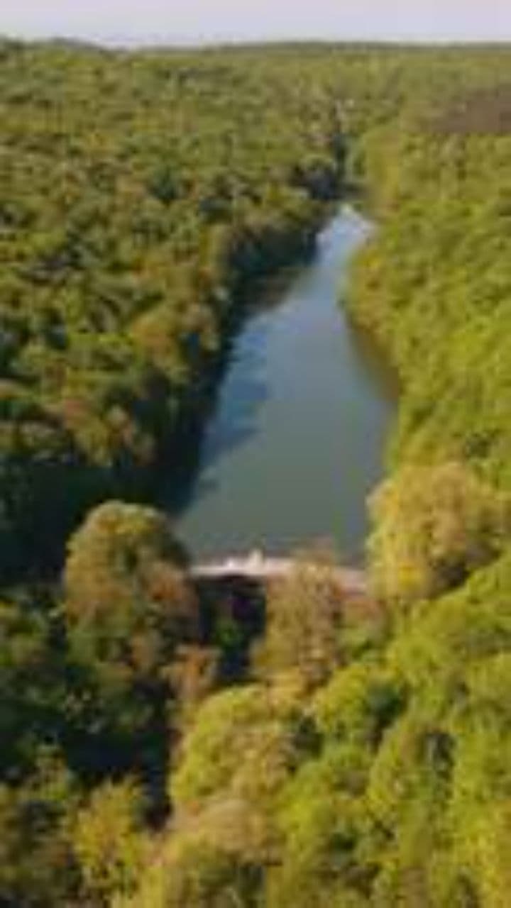 Brody, Perła wśród Wzgórz