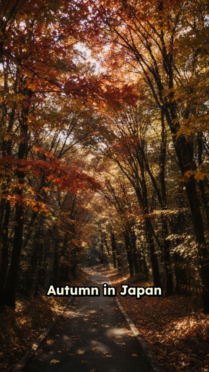 Chasing Koyo: Japan's Autumn Magic