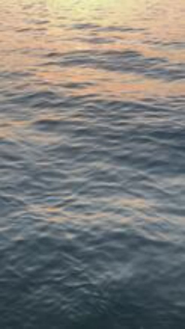 Despedida de lo que fuimos