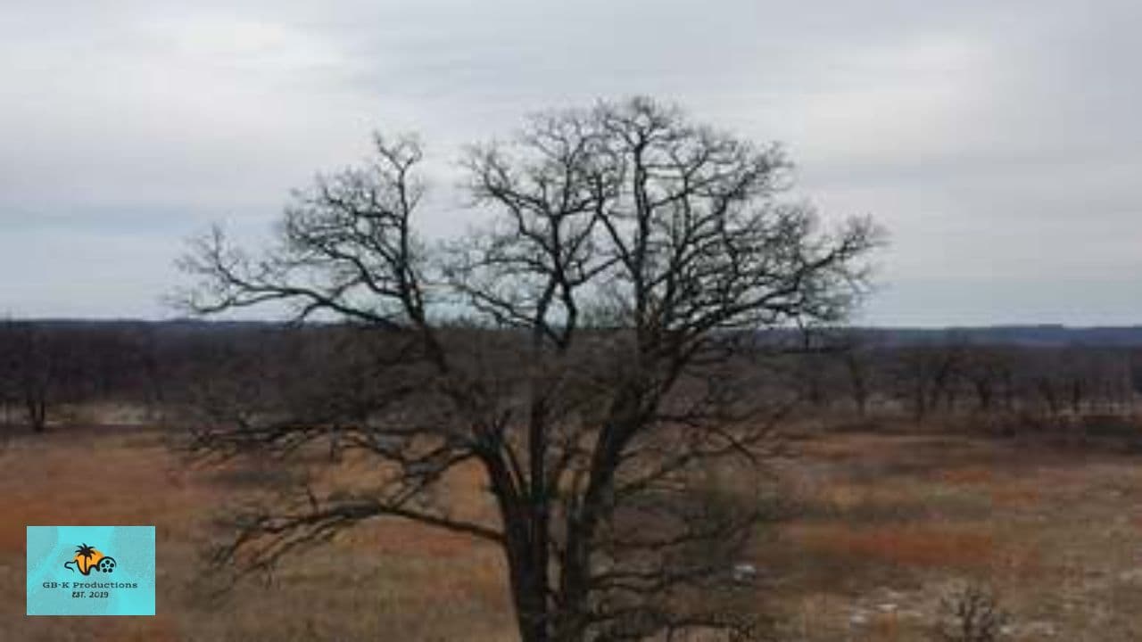 Cold Christmas, Warm Memories