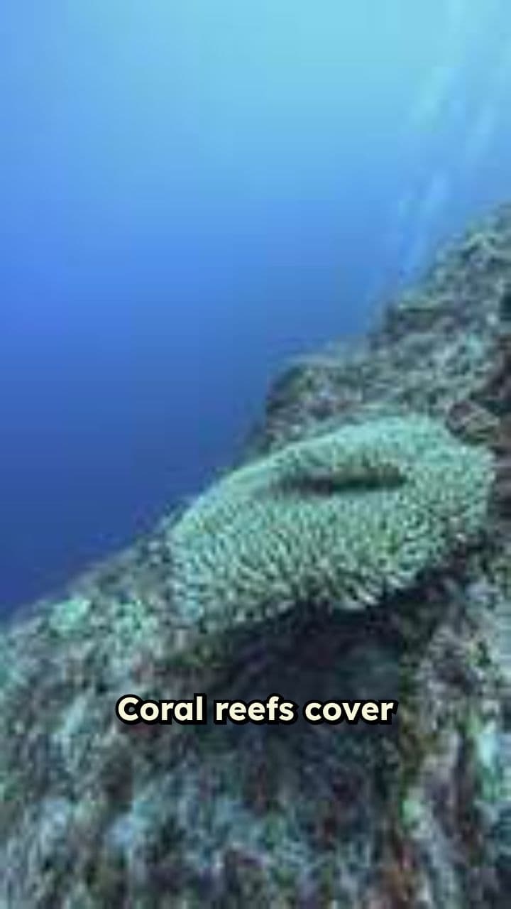 Coral Bleaching Threatens Ocean Life Support