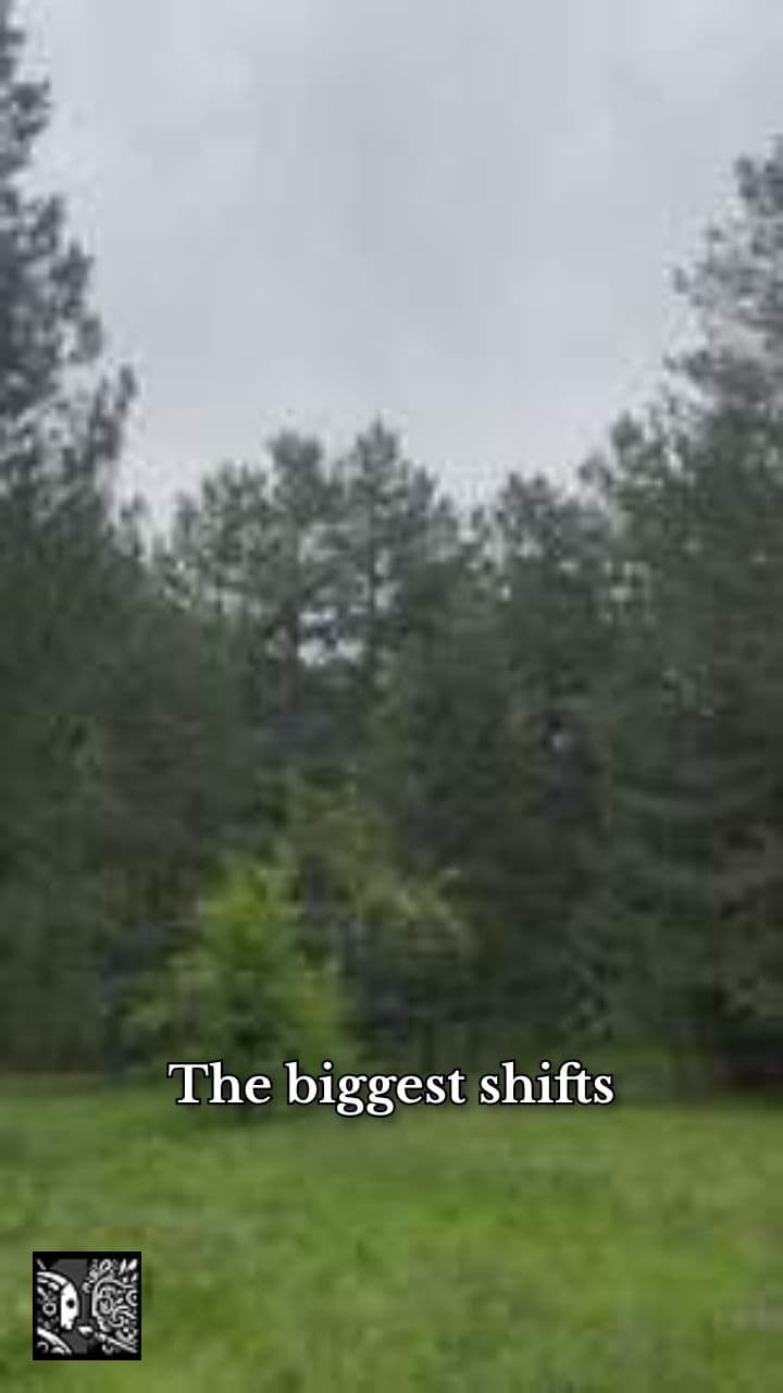 ArtPostAI: The Silent Beginning