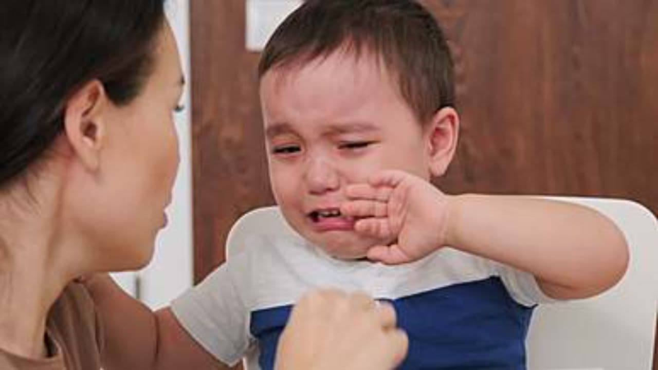 7 Signs Toddler Aggression Isn’t a Phase