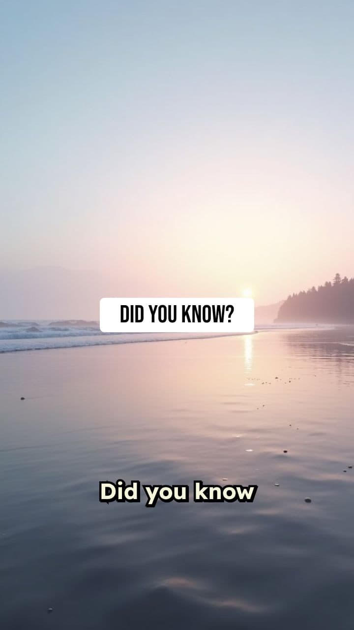 The Exploding Whale: Oregon's Bizarre Cleanup