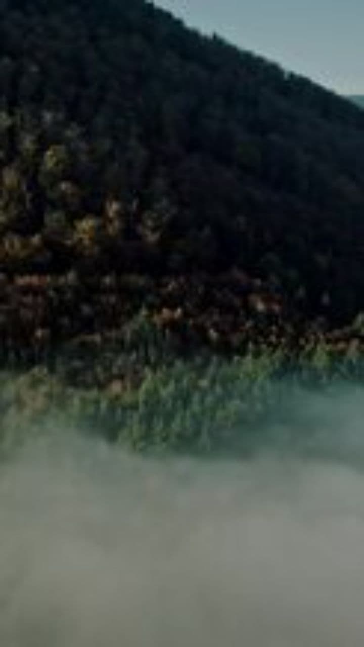 I Loved Her and Hurt Her