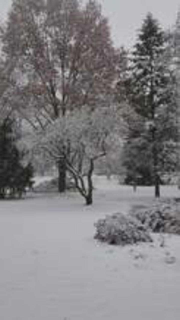 Wreath of Winter's Embrace