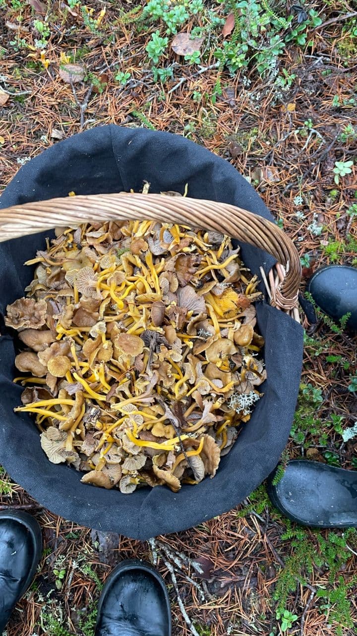 Unexpected Adventures in Company Wellness Challenge