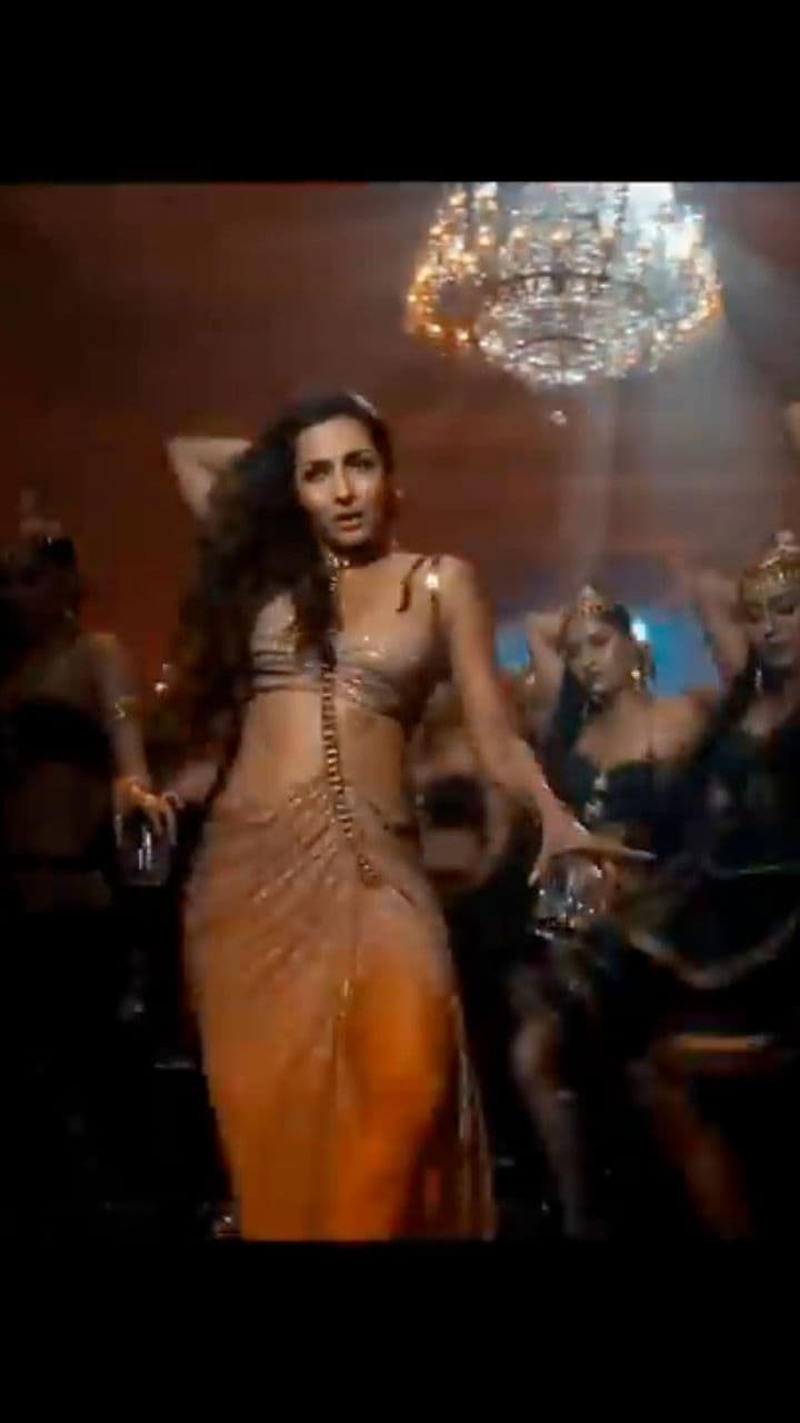 हम शौक से शराबी हैं