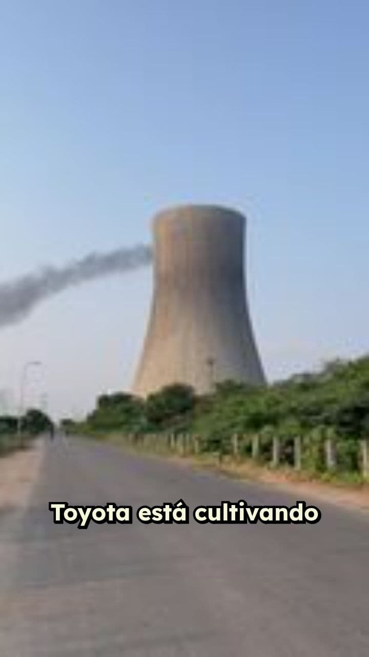 Bioetanol en Fukushima para autos Toyota