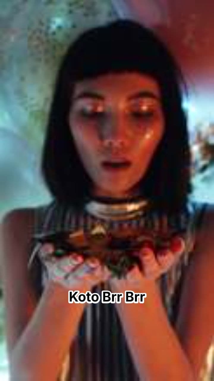 Koto Brr Brr Pitka Pitka Bussi's Brainrot Chase