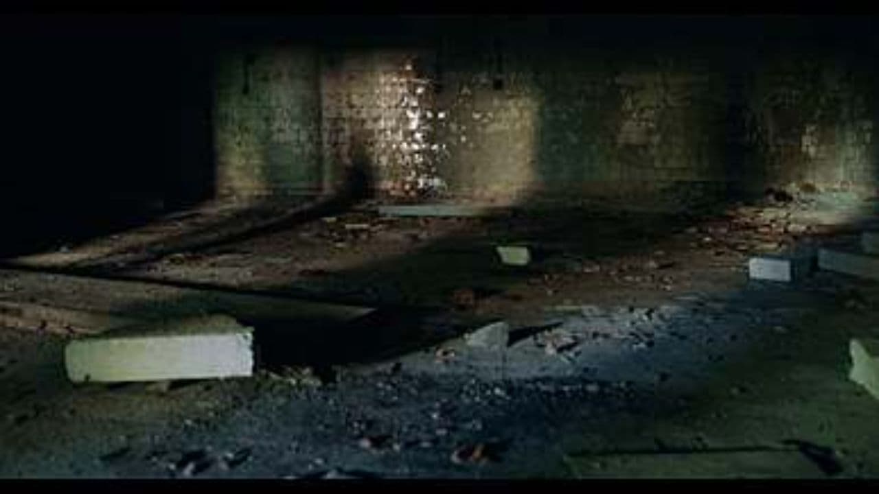 Ljubav i iluzija u tami noći