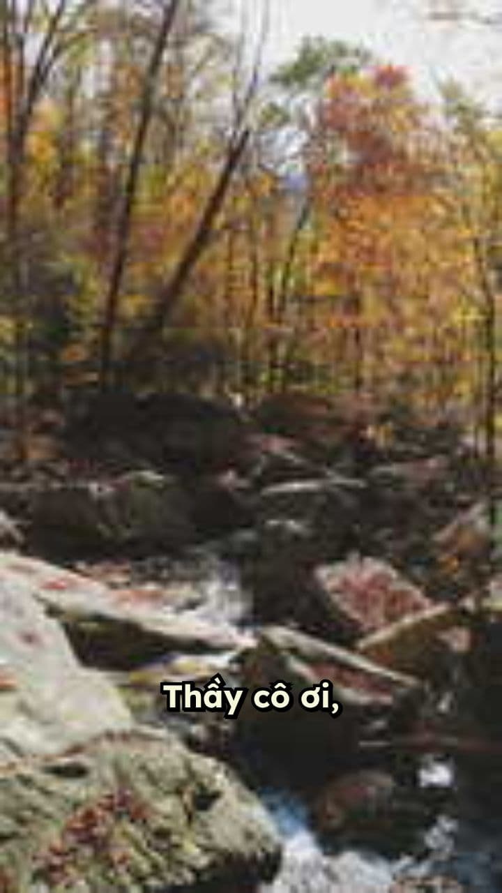 Người Lái Đò Thầm Lặng