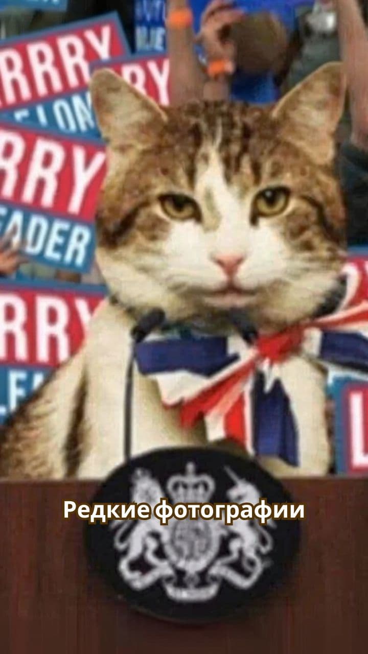 Необычные факты и фестивали мира