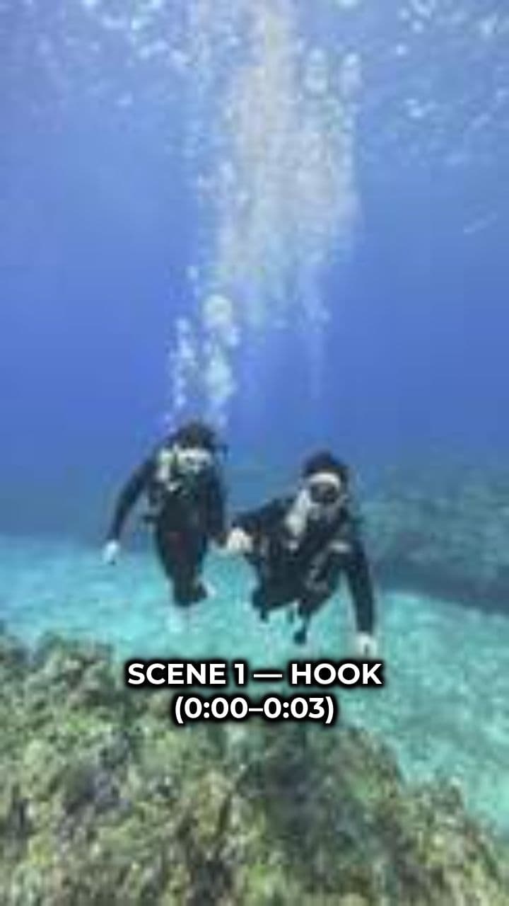 Octopus Hearts: The Swimming Secret