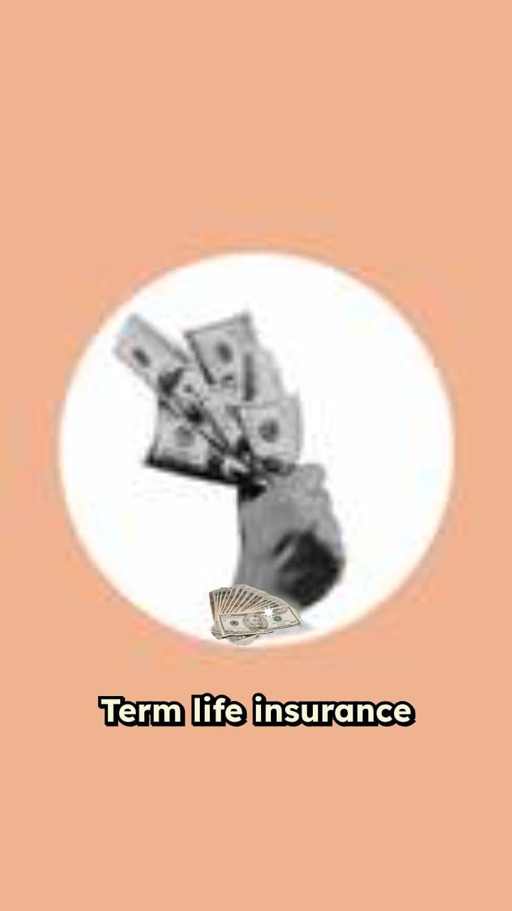 Term vs Whole Life: The $200K Difference