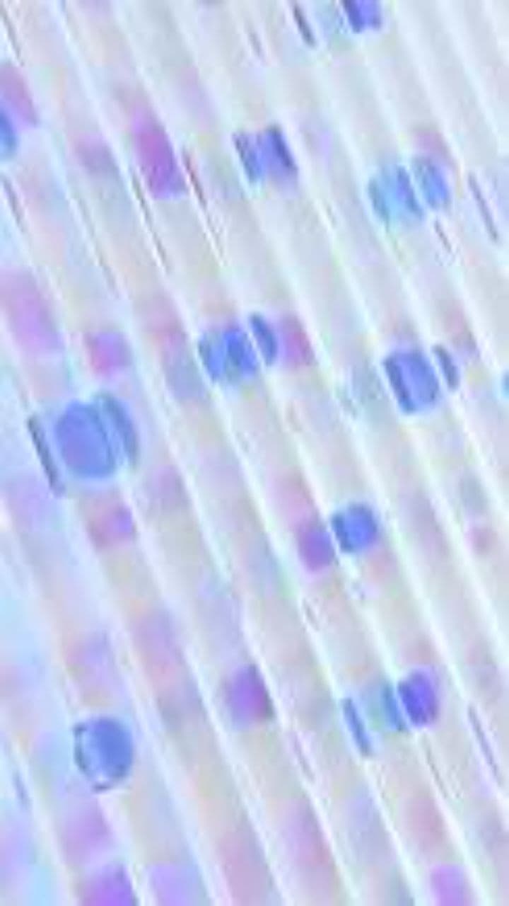 Number Sequences and Patterns