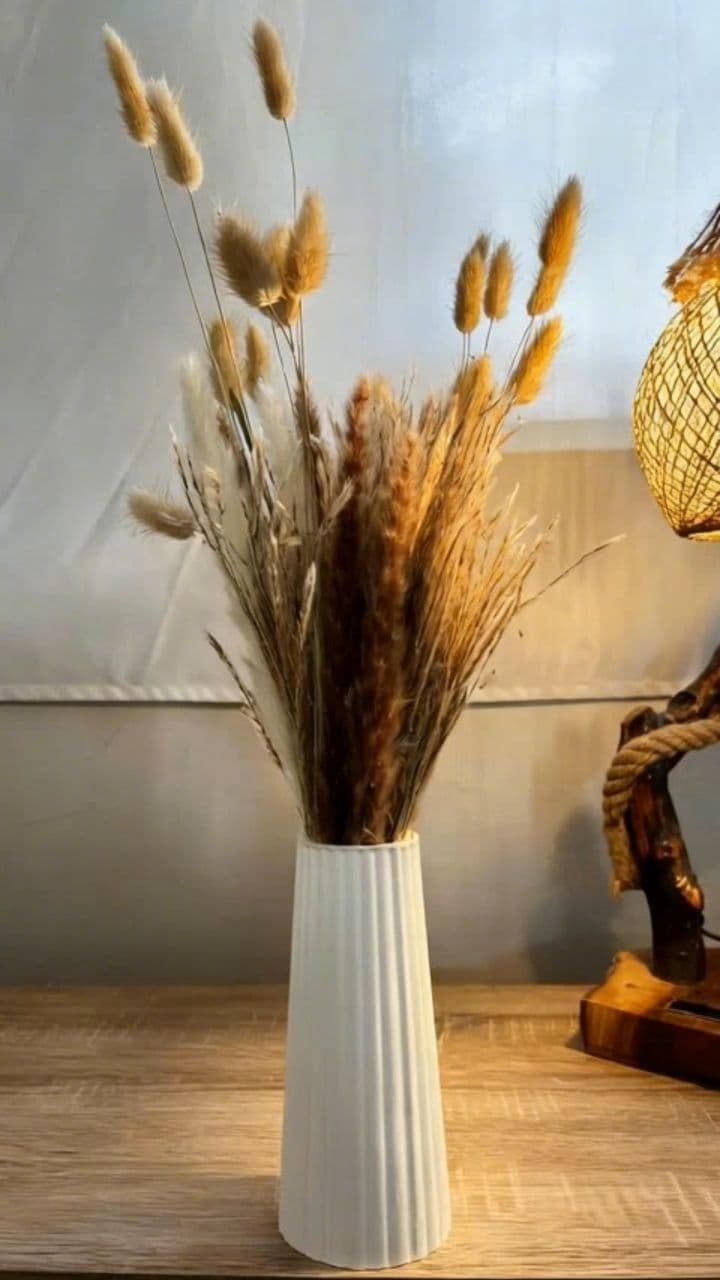 Image transform video